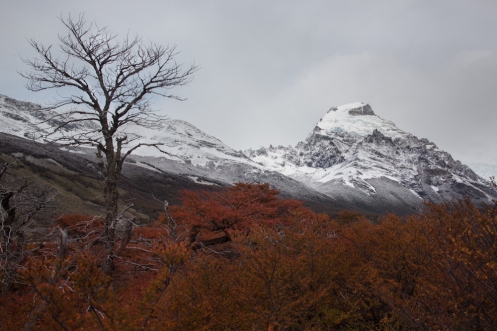 Recorriendo los valles que rodean El Chaltén. Las nieves caídas el día anterior han pintado las montañas de blanco.